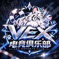 VEX 电竞俱乐部